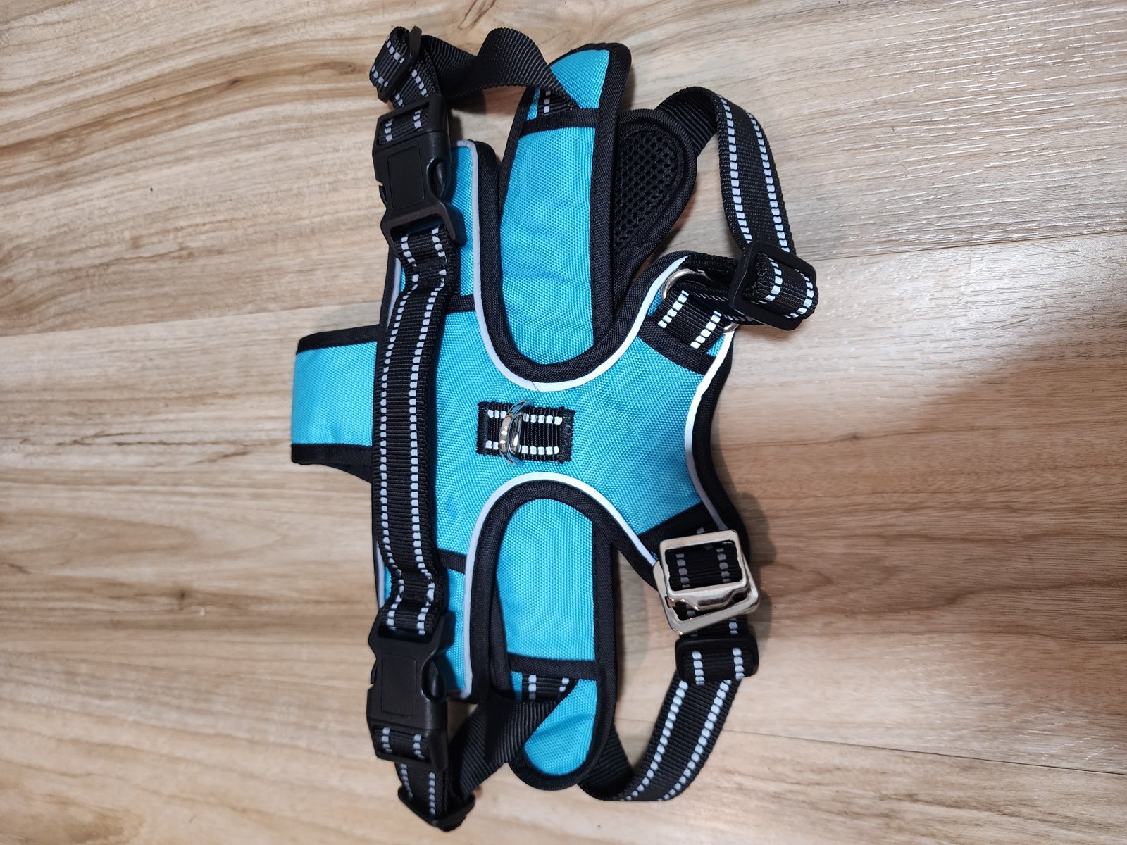 3 Piece Dog Harness Kit, No Pull Padded Reflective Harness with Handle, Heavy Duty Rope Leash and Reusable Pet Hair Remover, Small Medium Large XL Blue large no pull padded reflective dog harness with control handle