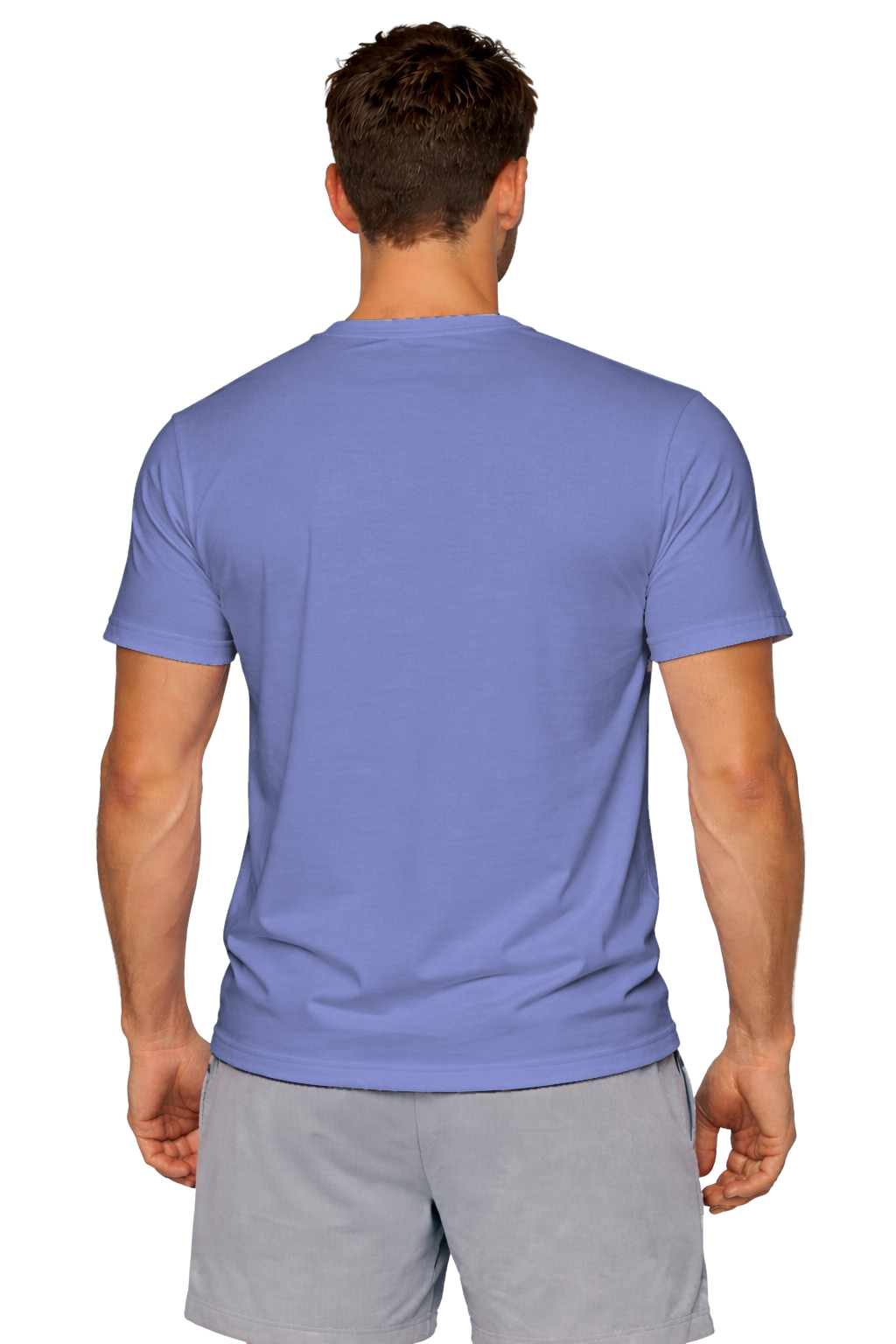 Violet custom t-shirt for men - Fort Wayne printing, back view